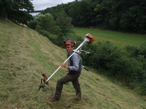 Landschaftspflege, Foto: Sabine Wächter