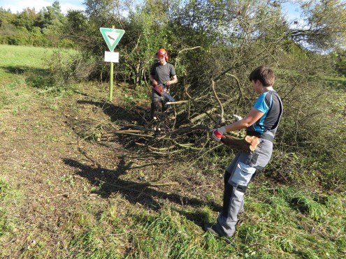 Landschaftspflegetag 2014